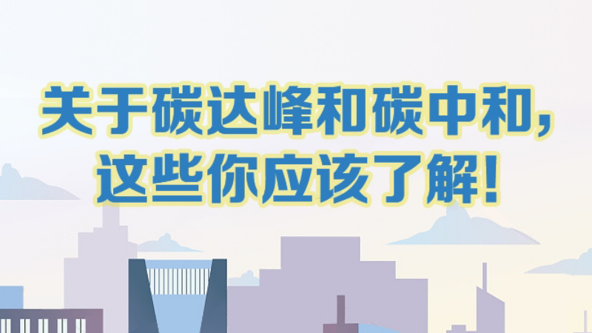 /upload/images/2024/8/7/s_62d69cc4a09b071a.png